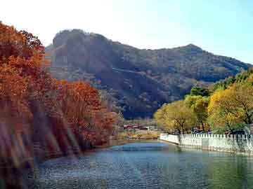 新澳天天开奖资料大全旅游团，一世黑道